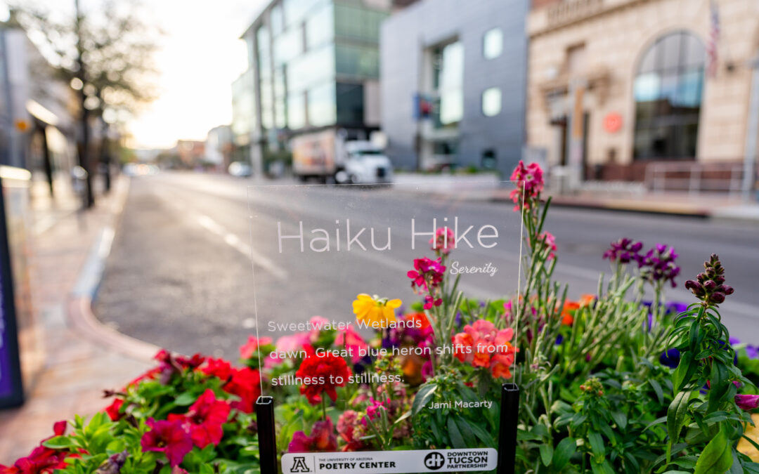 Explore Downtown Tucson Through Haiku Hike