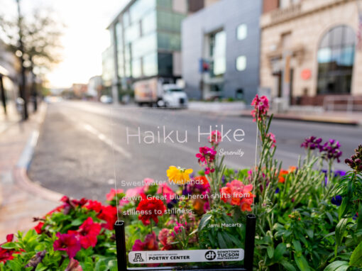 Explore Downtown Tucson Through Haiku Hike
