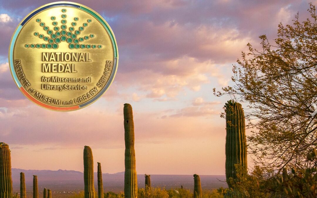 Arizona-Sonora Desert Museum Wins 2024 National Medal for Museum and Library Service