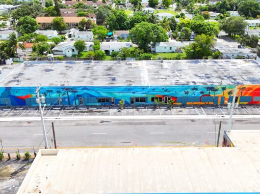 Daniela Sanchez Vegas