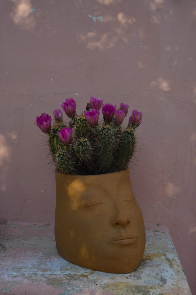 Lindee Zimmer and Lisa Rooney