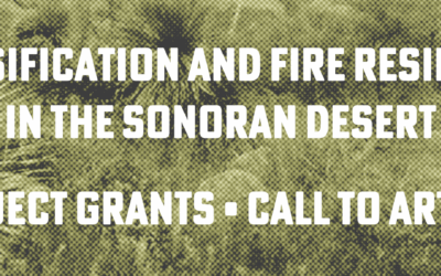 Call to Artists – Grant Opportunity for Projects about Invasive Plants in the Sonoran Desert