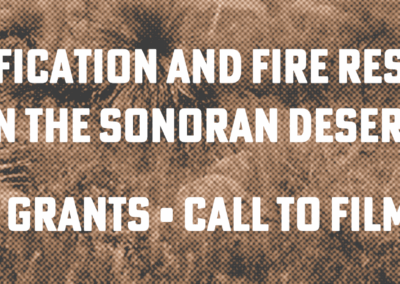 Call to Filmmakers – Grant Opportunity for Film Projects about Invasive Plants in the Sonoran Desert