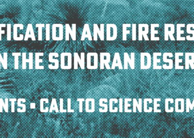 Call to Science Communicators – Grant Opportunity for Projects about Invasive Plants in the Sonoran Desert