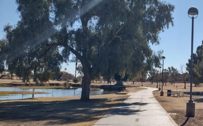 Call for Artists/Request for Qualifications (RFQ): Vista del Camino Lakes Public Art Project