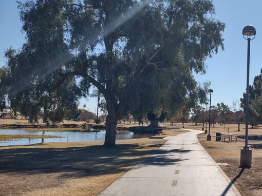 Call for Artists/Request for Qualifications (RFQ): Vista del Camino Lakes Public Art Project