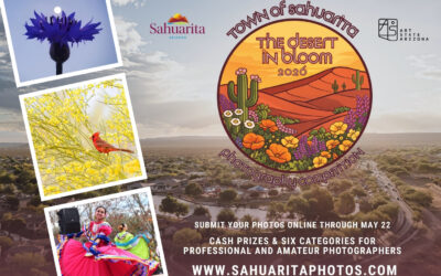 Sahuarita Photography Competition